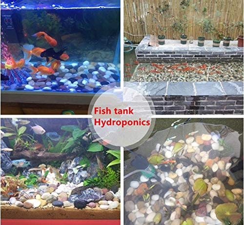 Amazon.co.jp: XIZHI 川の岩 庭 屋外 装飾石 水族館 装飾的な砂利 石